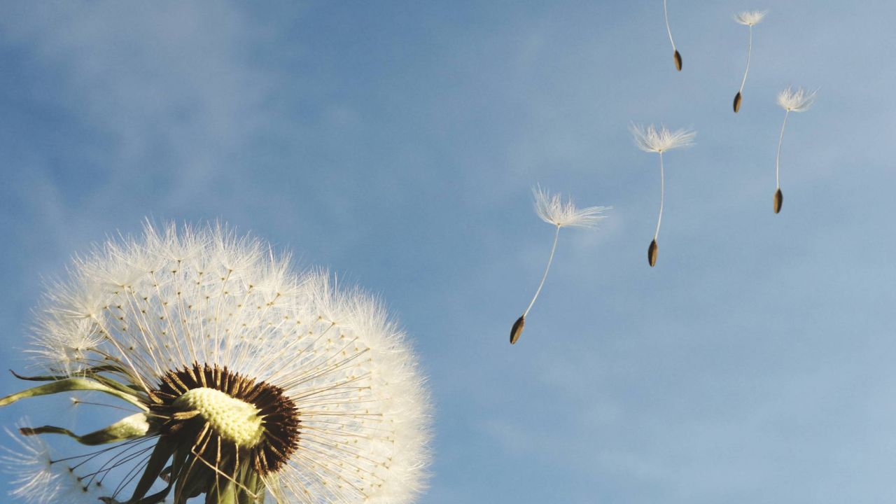 Gibraltar Investment